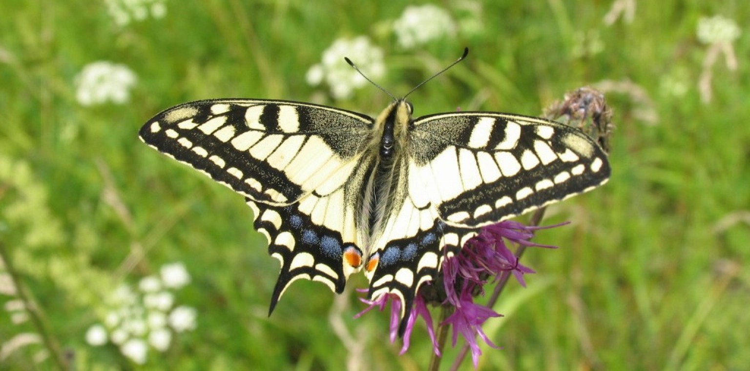 Lankytina vieta (pavadinimas)