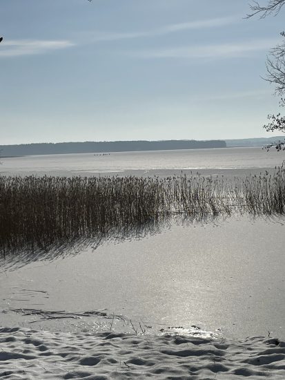 Luodis