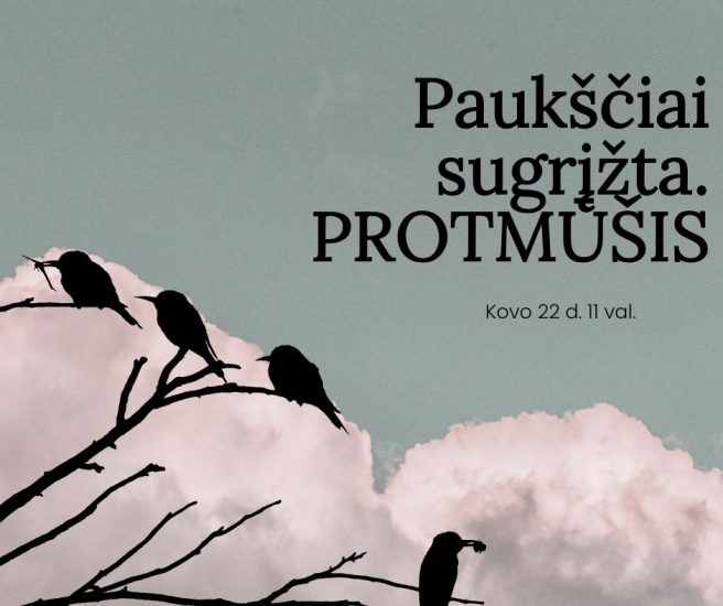 Paukščiai sugrįžta. PROTMŪŠIS