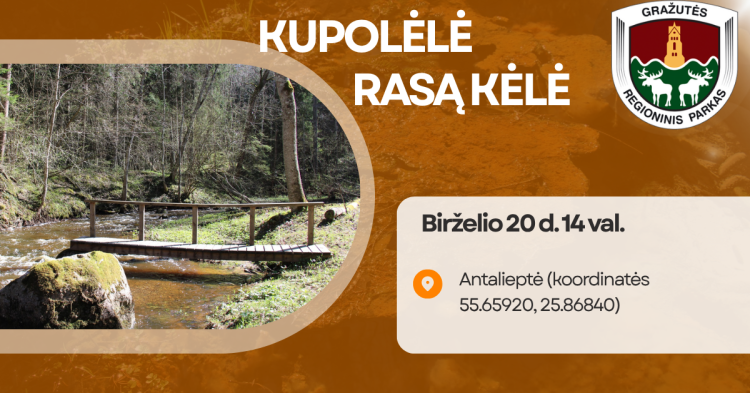 „Kupolėlė rasą kėlė”