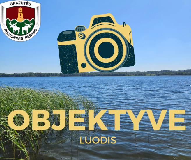 Fotografijų konkursas „Objektyve Luodis”