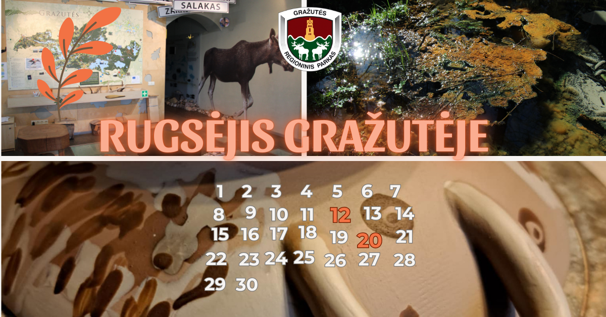 Rugsėjis Gražutėje