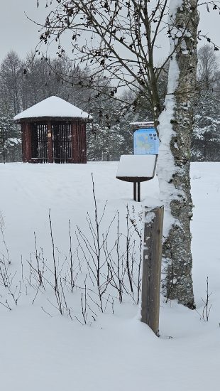 Lankytojų skaičiuotuvų duomenys