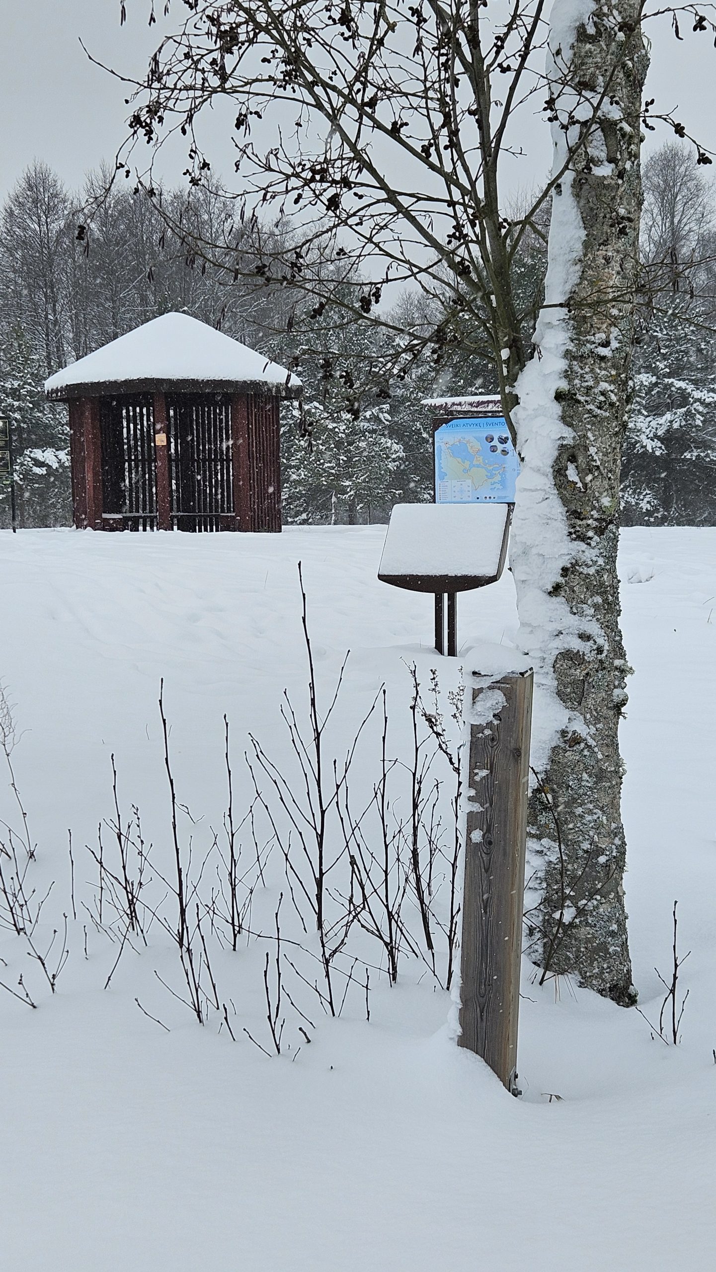 Lankytojų skaičiuotuvų duomenys