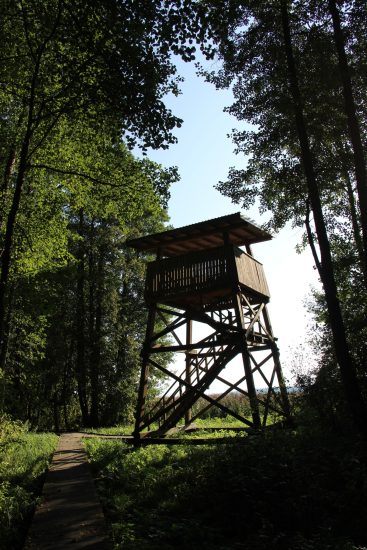Praėjusieji metai