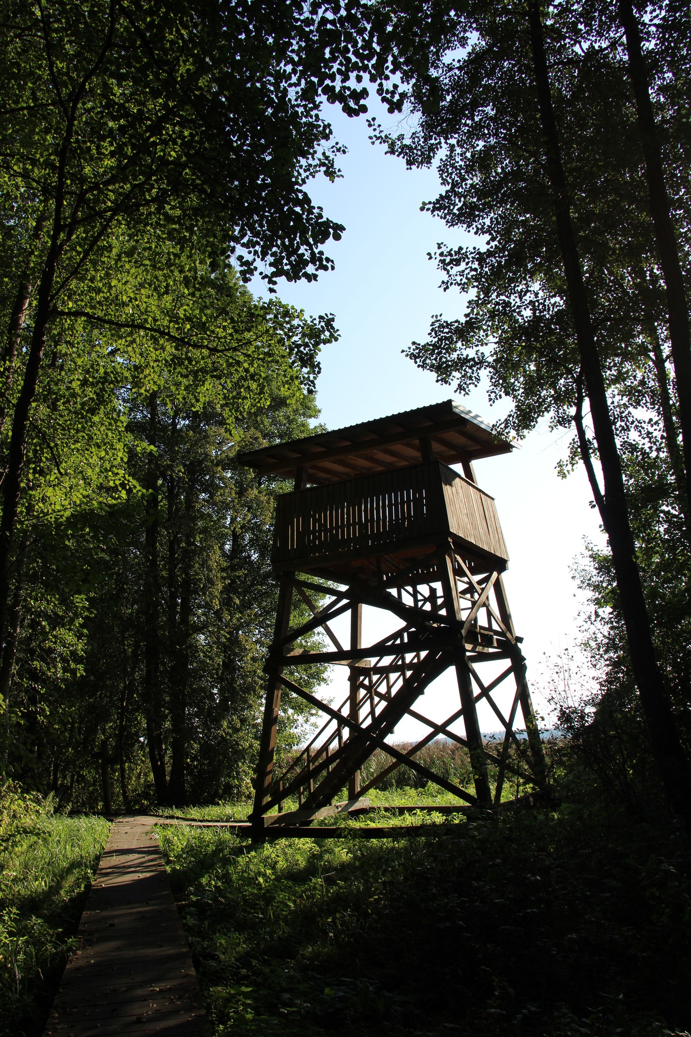 Praėjusieji metai