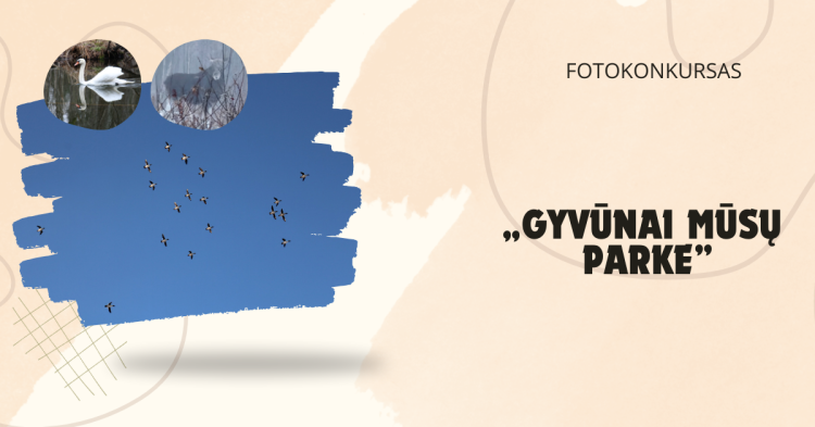 Fotokonkursas „Gyvūnai mūsų parke“