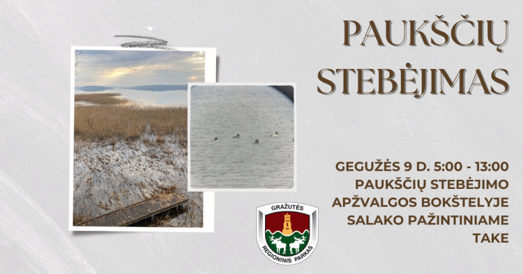 Paukščių stebėjimas apžvalgos bokštelyje