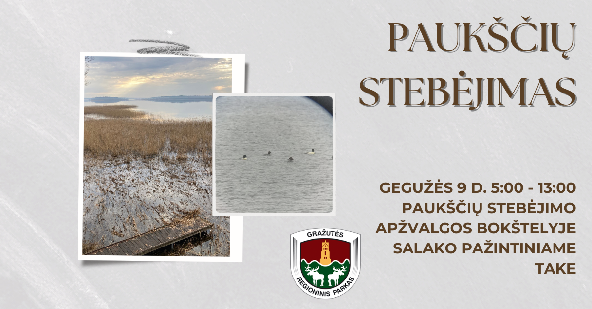Paukščių stebėjimas apžvalgos bokštelyje