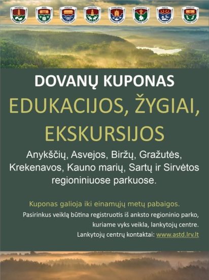 PAVARGAI NUO DOVANŲ, KURIOS DULKA ANT LENTYNOS?
