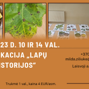 Edukacija „Lapų istorijod”