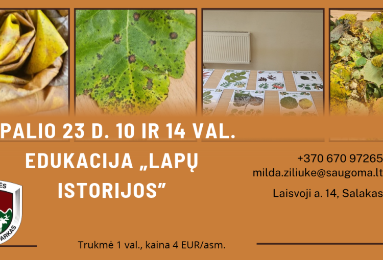 Edukacija „Lapų istorijod”